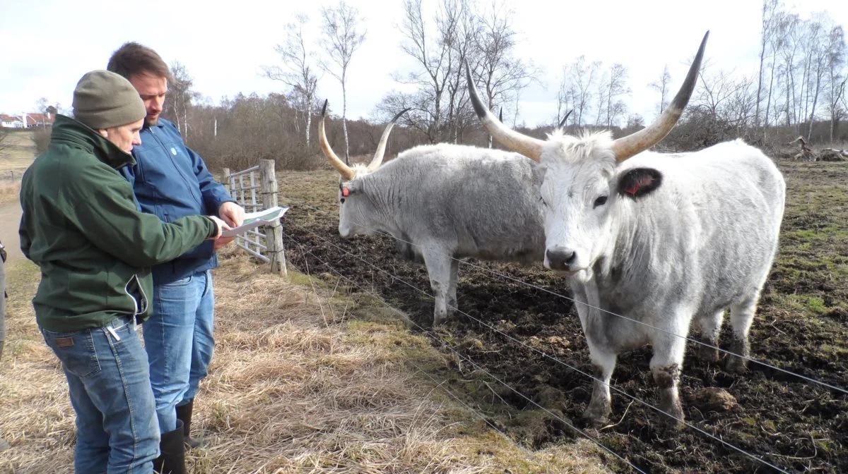 På billedet: Økologirådgiver Søren Lykke-Jensen, ØkologiRådgivning Danmark, (forrest). Arkivfoto