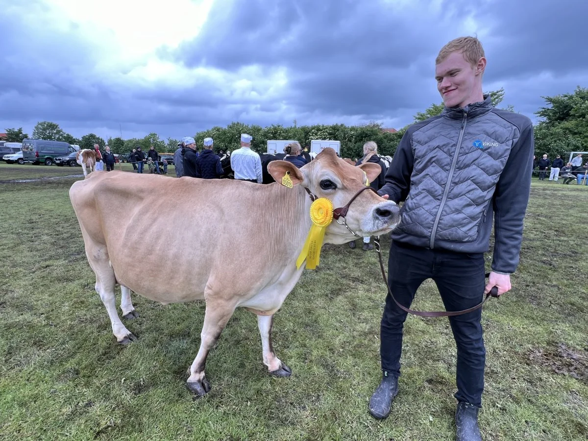 Bedste ældre jersey: Tastum Jersey, Stoholm.