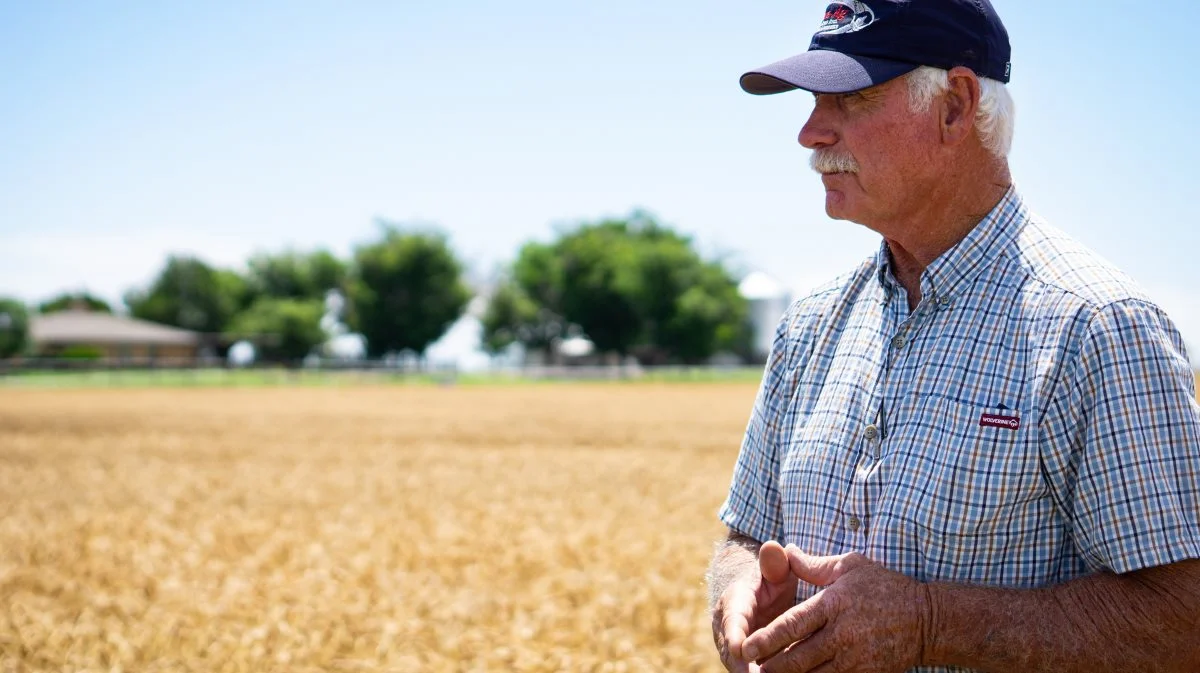 - Jeg dyrker vinterhvede i tre til fire år på samme mark og derefter lucerne, hvor vi tager tre slæt årligt i fire år på samme afgrøde, fortæller den texanske farmer.