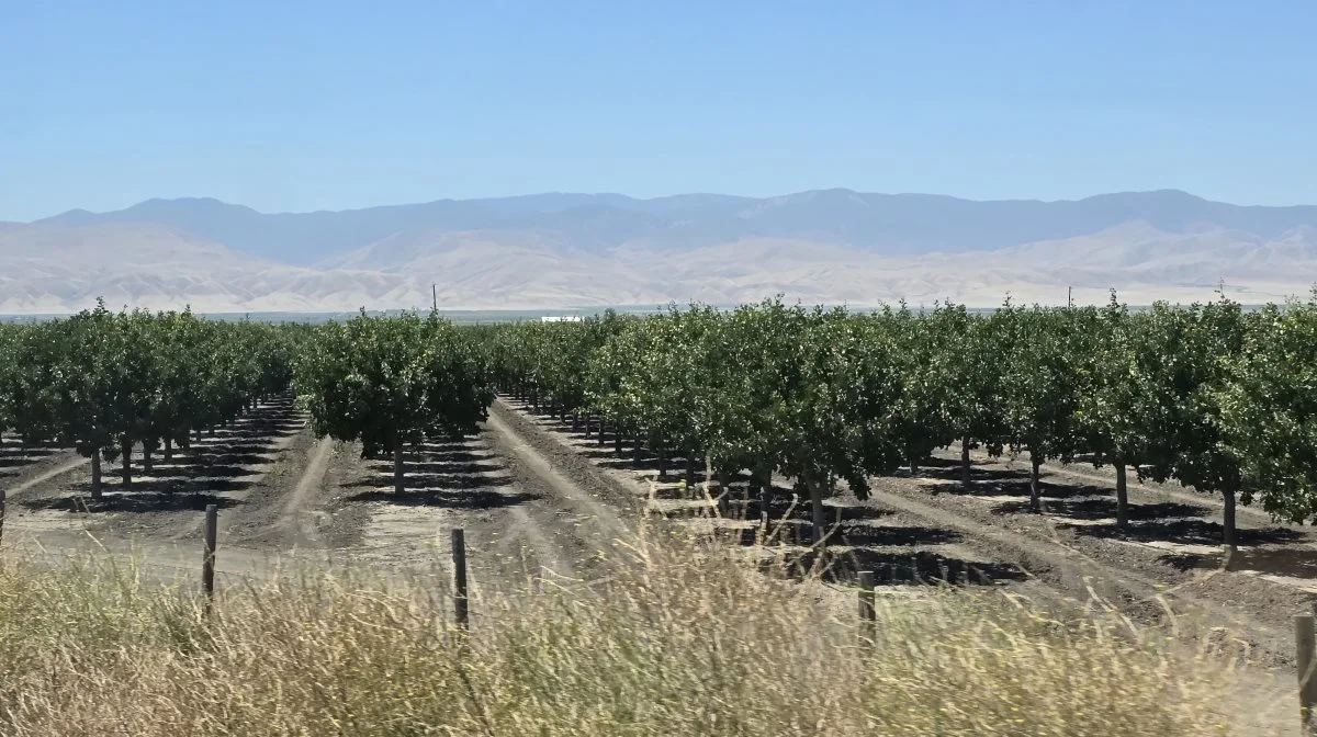 Det er højværdiafgrøder, der dyrkes i den centrale californiske dal såsom mandler, pistacienødder og citrusfrugter.