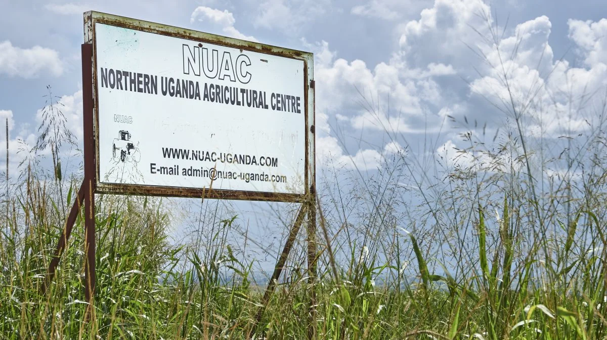 NUAC Farm er et storlandbrug, hvor Søren Næsborg er medejer. Her drives både planteavl og sælges maskiner importeret fra blandt andet Danmark. Pressefotos