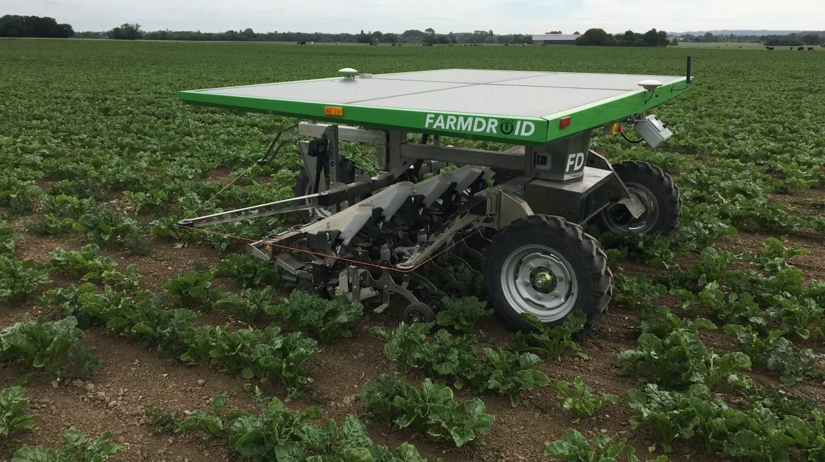 Synet blev gennemført på en FarmDroid, som i denne sæson har sået, radrenset og ukrudtsbehandlet en roemark på Falster. Arkivfoto