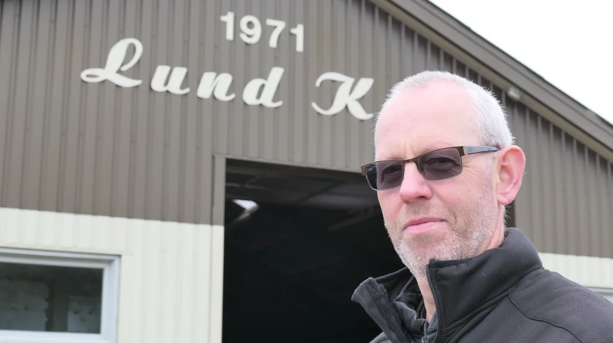 Lund Ko nær Skjern er en af landets ældste løsdriftsstalde. - Den har fungeret siden 1971, fortæller Carsten Schmidt. Fotos: Bøje Østerlund