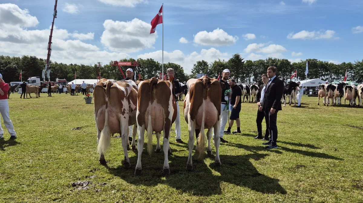 Bedste DRH-besætningsgruppe, bedste malkekvægs-besætningsgruppe og bedste interbreed-besætningsgruppe: Borup Holstein, Vrå.
