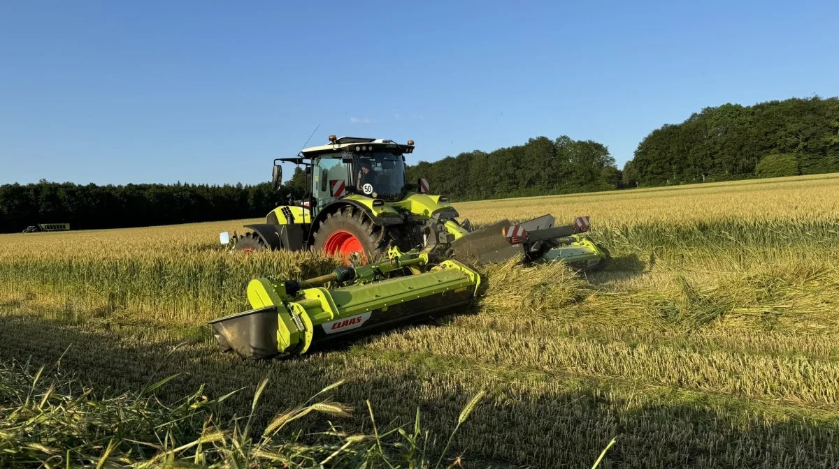 Disco 9300 RC Auto Swather skårlæggersættet med crimper, der kræver en traktor med minimum 400 hk, ses her i en helsædsskårlægning i en triticale hvedemark. Disco-sættet er udstyret med Active Float, der er en aflastende trykjustering under kørsel. Båndhastigheden kan justeres individuelt under kørsel.