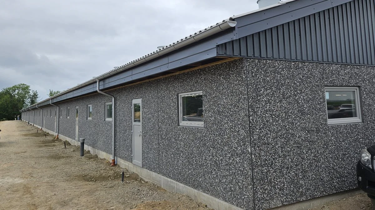 Den nye stald hos GO-Gris ved Horsens er på godt 6.600 m2. Foto: John Ankersen