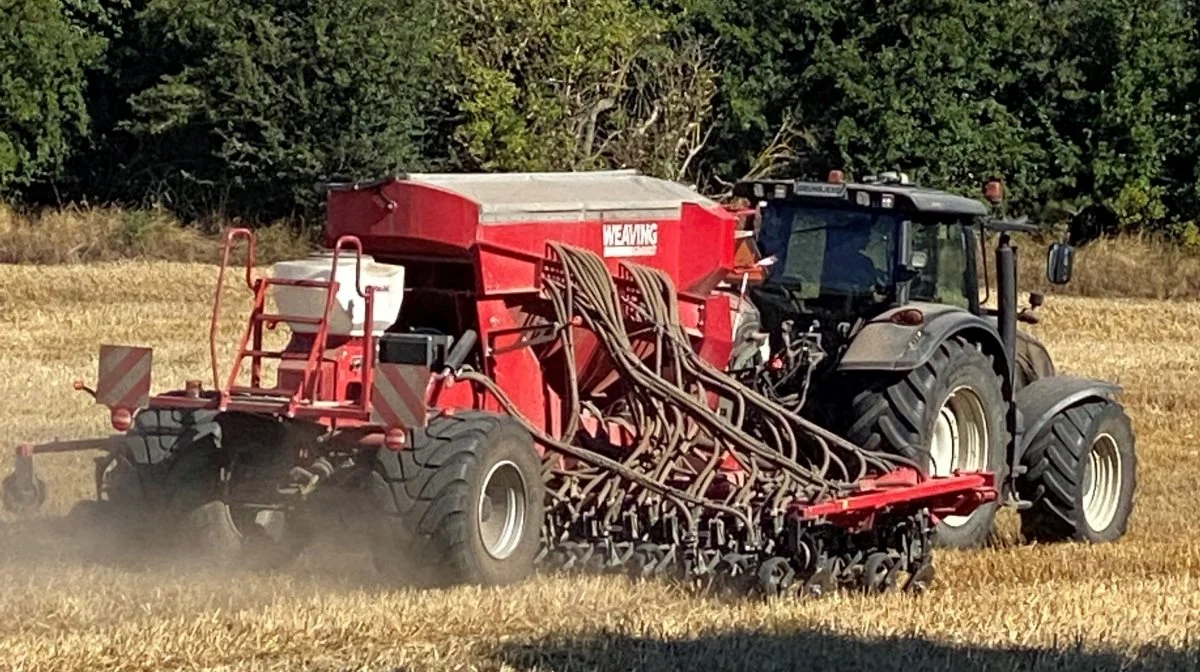 I den nye aftale om Grønt Danmark står der, at der »kan være store potentialer i oplagring af kulstof i jorden i forbindelse med blandt andet Conservation Agriculture, pløjefri dyrkning, regenerativt landbrug, økologi, halmnedmuldning og skovlandbrug«. Det skaber glæde hos FRDK. Foto: FRDK