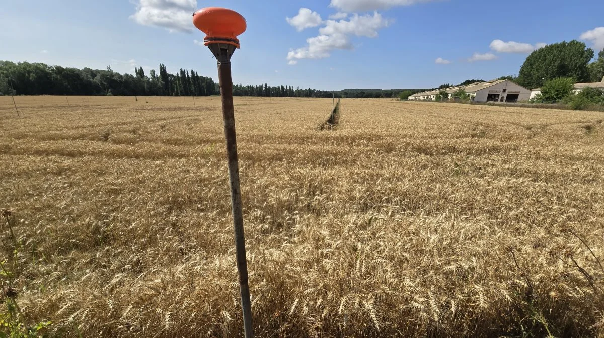 Sådan ser vandingsanlæggene ud hos den spanske planteavler. Jordledning med sprinklere, der står på række ned gennem markerne. De fjernes aldrig - kun når de påkøres med maskiner.