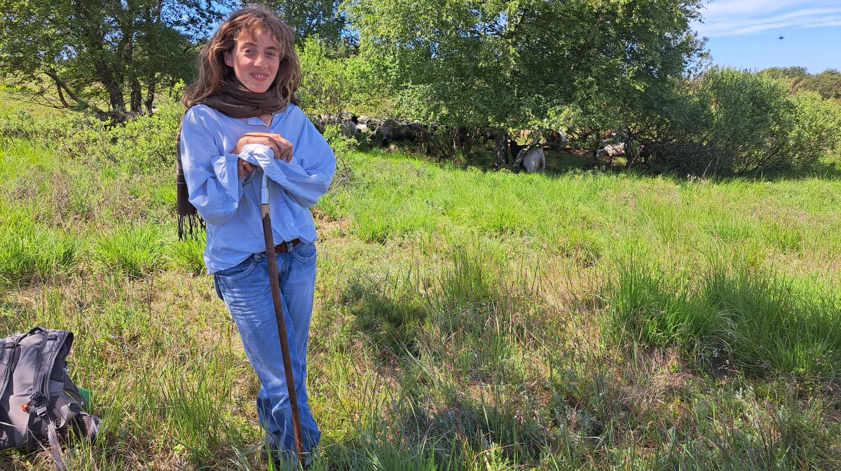 Amanda de Lorenzo fra Chile er i praktik som fårehyrde hos Berit Kiilerich. Sammen med sin kæreste passer hun en flok på 350 får – og nogle få geder. Dyrene udfører naturpleje på Præstbjerg Hede i en bestemt cyklus. 