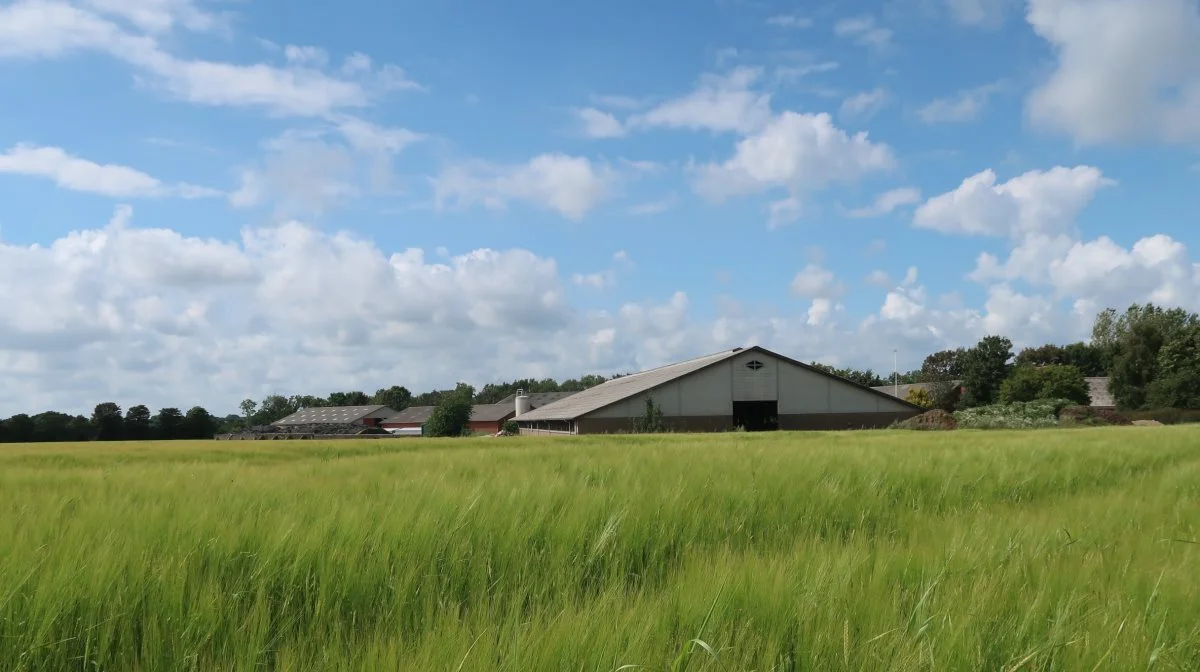 Ejendommen ligger pænt i landskabet ved en stille sidevej til hovedvejen og stort set midt mellem Vejen og Ribe.