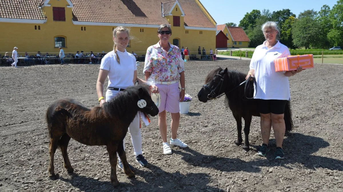 Catharina Reventlow-Mourier (i midten) overrakte »Følfadet« til shetlandsføllet Aastrups Euroflower født den 3. maj og udstillet af Katrine Aastrup Jakobsen fra Tommerup.