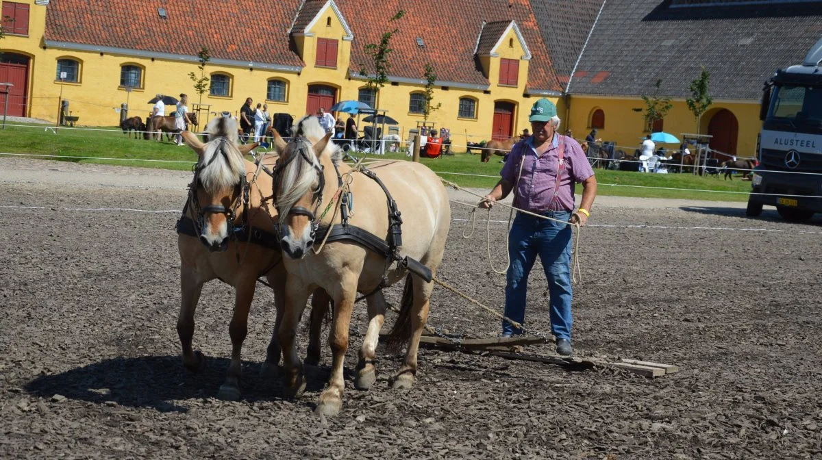 Traditionen tro sørgede Niels Peder Hansen for at jævne banen.


