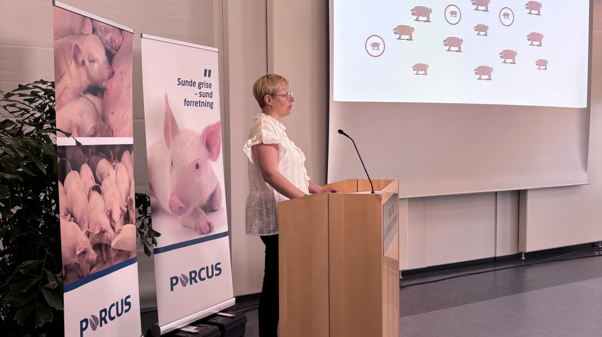 Lektor Anja Strathe fra Københavns Universitet ved sæsonafslutningen i Fokus 35 Vital. Foto: Porcus