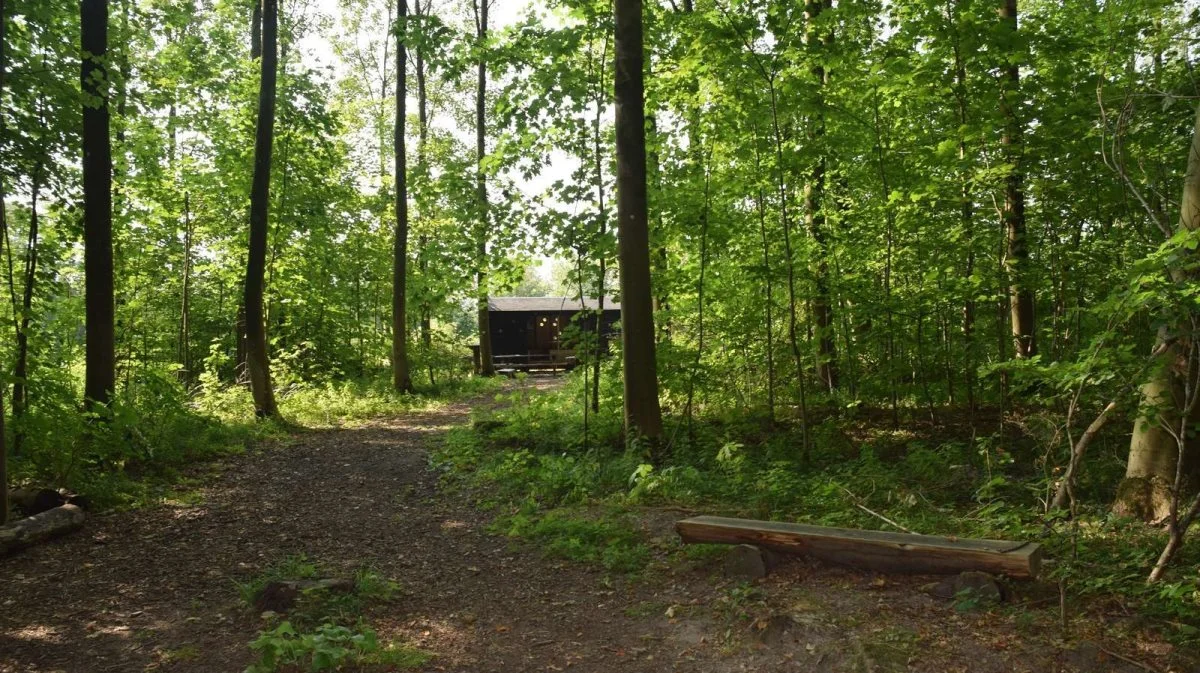 Shelters i naturen er blevet utroligt populære, og der kommer hele tiden nye til. Arkivfoto