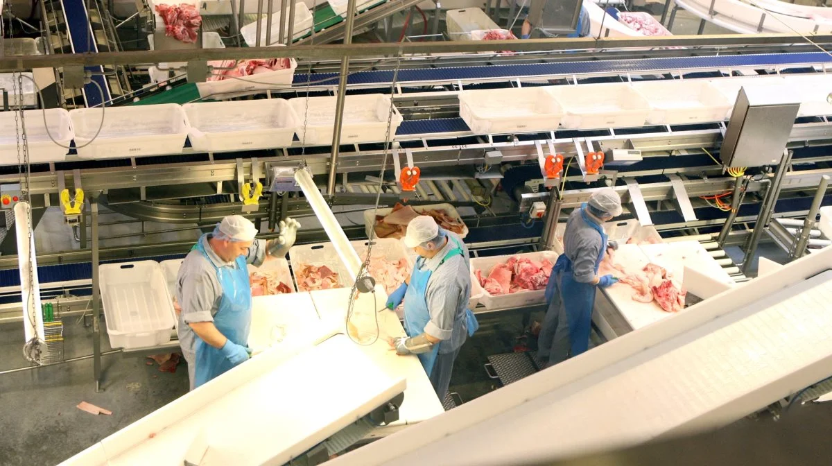 Slagtningerne steg med to procent i EU fra januar til april, mens de danske slagtninger faldt med 3,7 procent. Arkivfoto