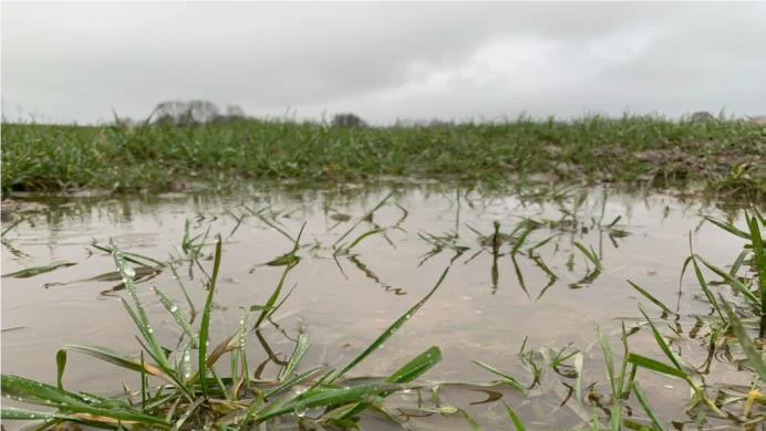 Den rekordstore mængde regn i den første halvdel af marts er velkommen, men den gør det umuligt at færdes i markerne med gødning og sprøjten. Foto: Hans Jørgen Bak