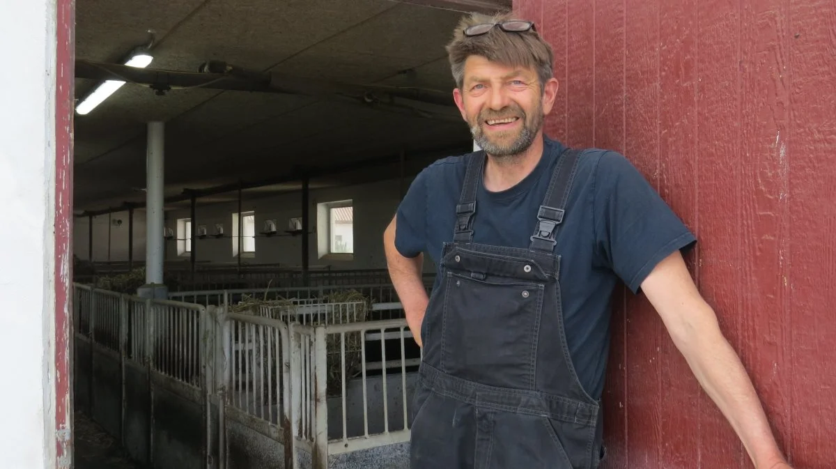 Man kan sagtens producere slagtegrise i 100 år gamle staldbygninger, hvis det gribes rigtigt an. Det gør Jens Brandt fra Østermarie, der var årets slagtegriseproducent på Bornholm i 2023. Fotos: Erik Kjærgaard Christensen