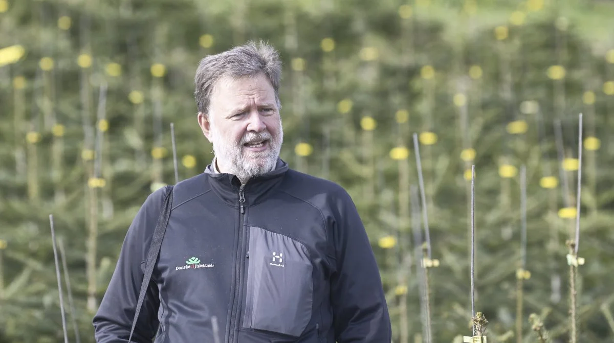 - Ifølge statistikkerne ramte vi bundniveauet i 2020, og typisk ser vi, at der går mellem otte og 10 år mellem top og bund, siger direktør Claus Jerram Christensen, Danske Juletræer.