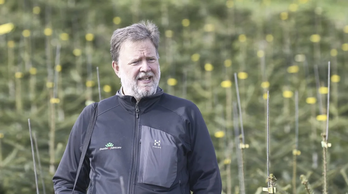 - Ifølge statistikkerne ramte vi bundniveauet i 2020, og typisk ser vi, at der går mellem otte og 10 år mellem top og bund, siger direktør Claus Jerram Christensen, Danske Juletræer. Arkivfotos: Erik Hansen