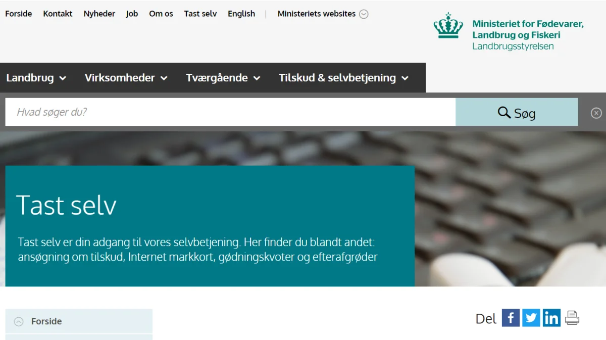 Inde i Tast-selv står der bare »orienteringsbrev sendt«, selvom der er tale om et vigtigt brev med en kort svarfrist, lyder kritikken fra Jakob Nikolajsen. Skærmdump