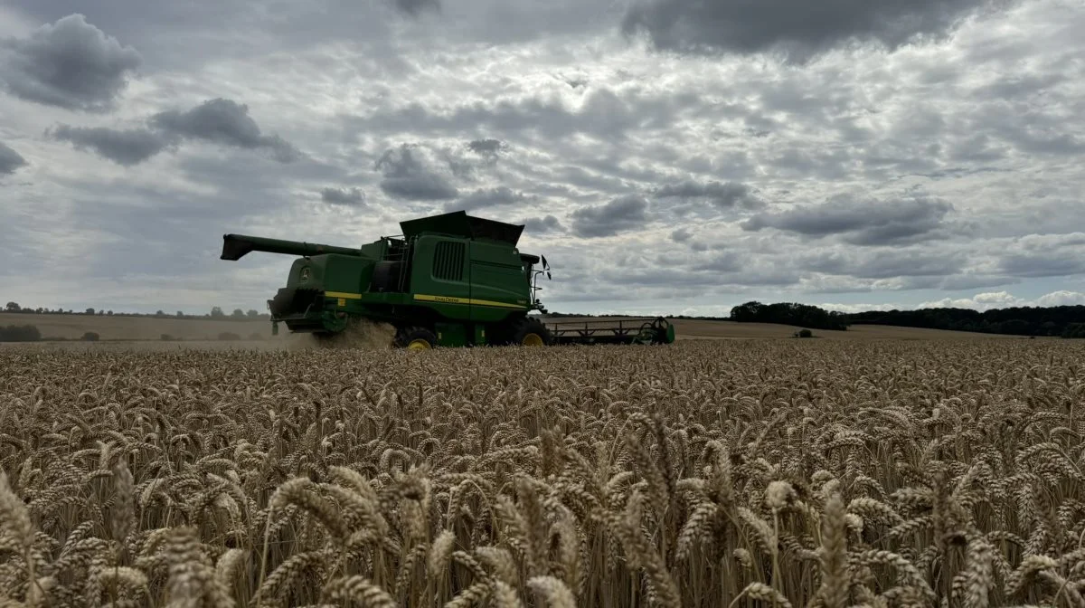 Der dyrkes i at 115 hektar Pondus-hvede i fremavl til Danish Agro ud af de i alt 275 hektar på ejendommen. 