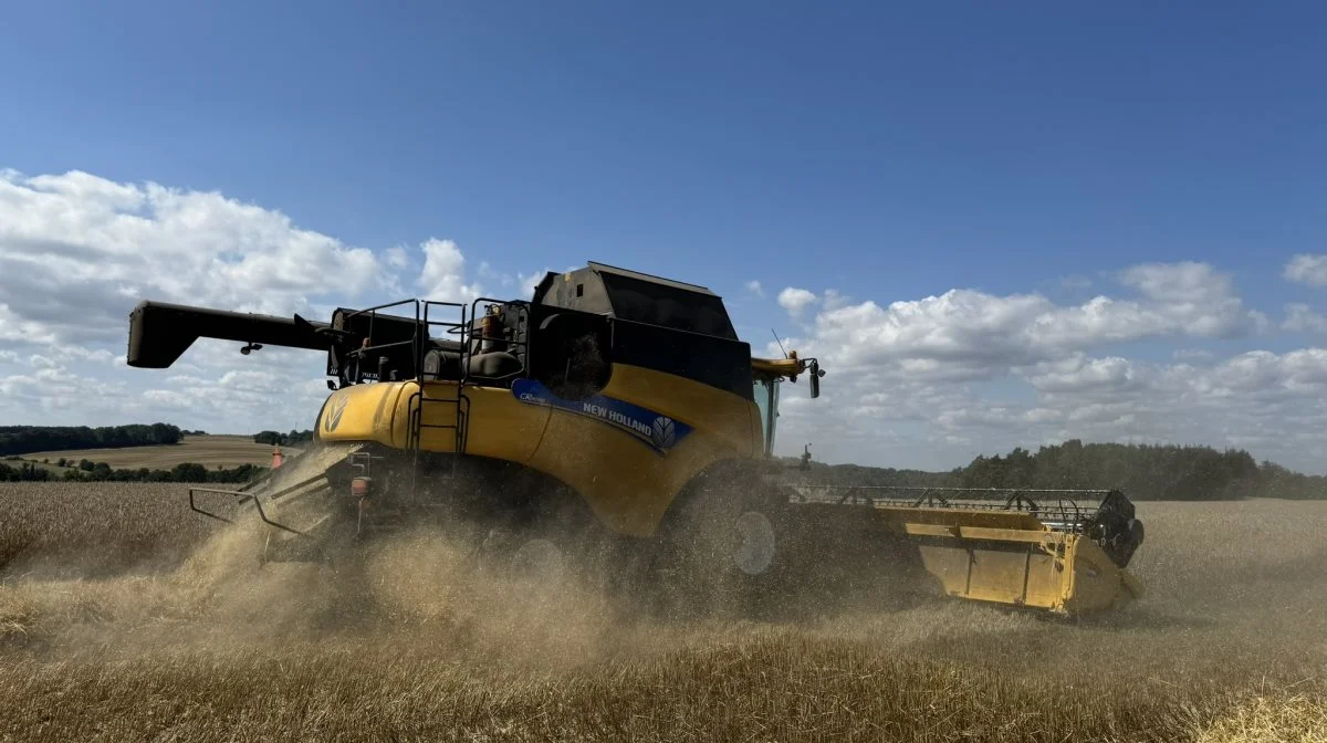 CR9080'eren har en glubende appetit på rugen, der som gennemsnit over de 80 hektar præsterer et udbytte på omkring 7,5 tons pr. hektar. 