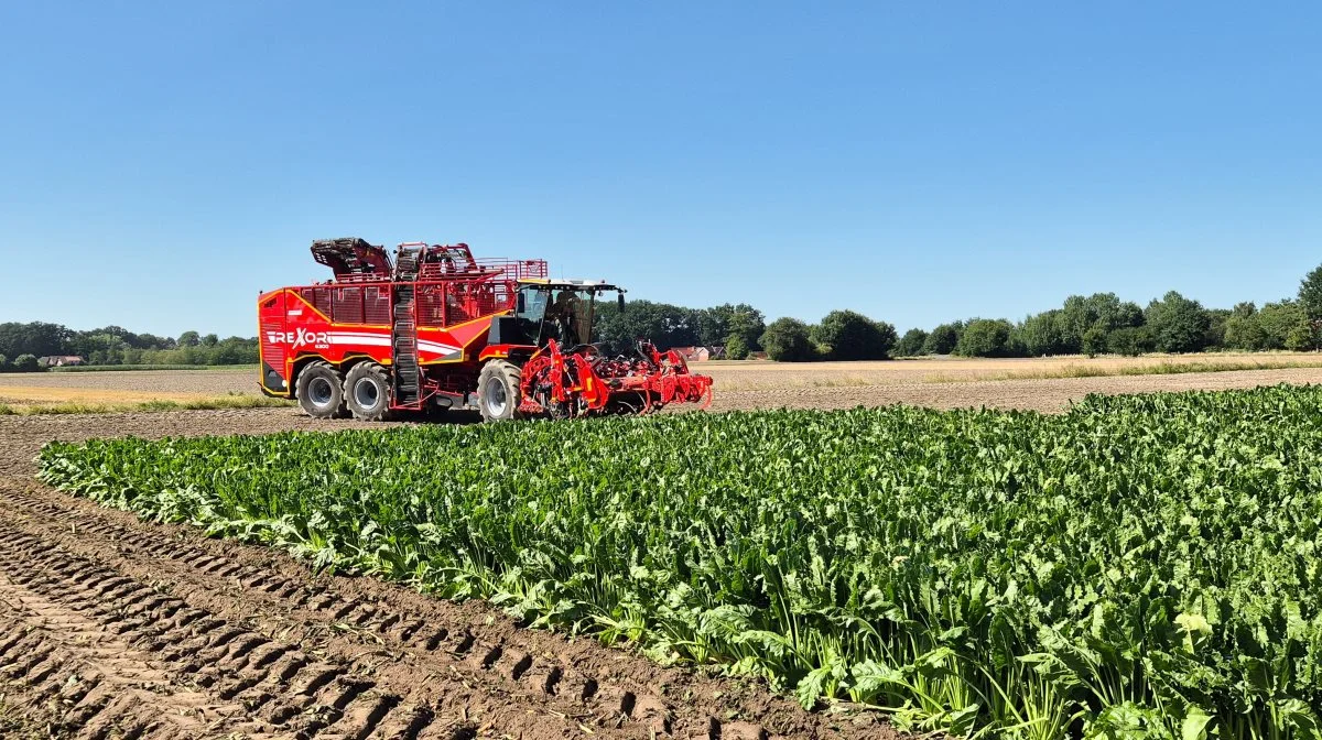 Grimmes roeoptager, Rexor 6300, har været med til at sikre en fremgang i omsætningen i 2023 på næsten 15 procent. Foto: Henning K. Andersen