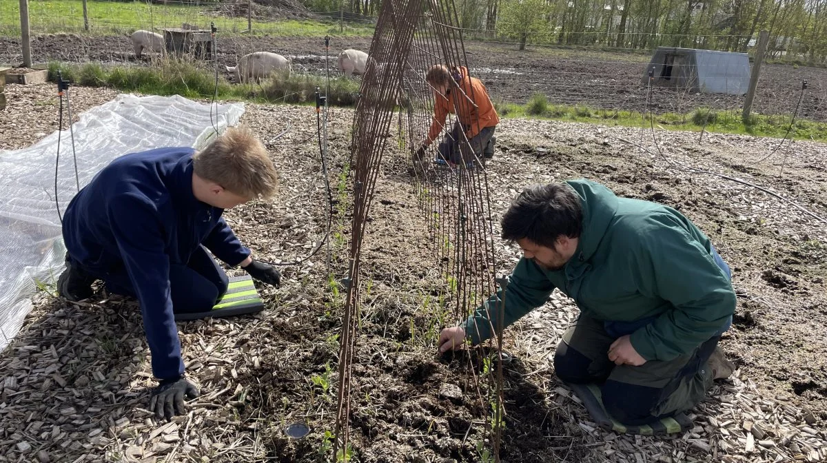 På Rødding Højskole skal den nye bevilling bruges til at etablere »Folkehaven«, som blandt andet skal gøre højskolen mere selvforsynende og bruges til at udvikle nye fag og til i højere grad at involvere lokalsamfundet i grønne projekter. Foto: Rødding Højskole
