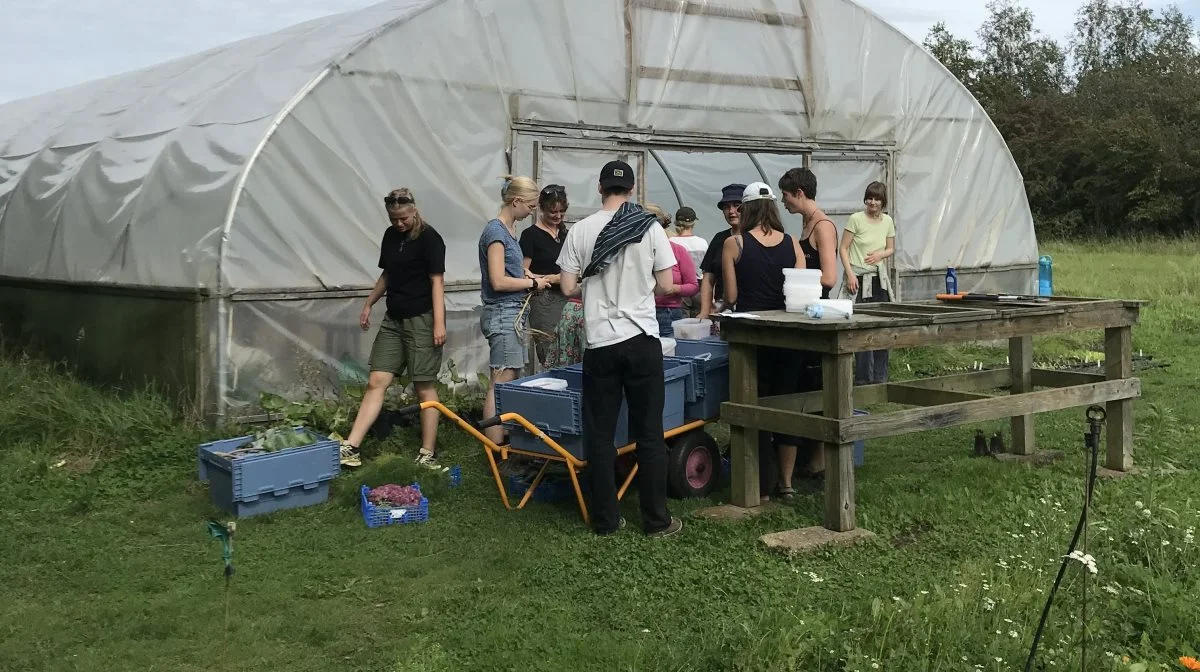 Vestjyllands Højskole vil bruge den nye bevilling til at gøre sine 10 hektar jord til ét stort eksperimentarium. Foto: Vestjyllands Højskole