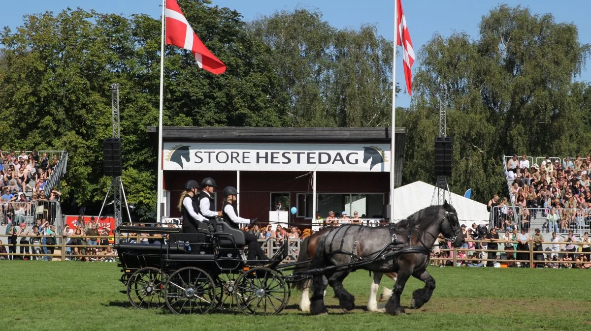 Hele weekenden er de forskellige aktiviteter i den store ring. Foto: Jesper Hallgren