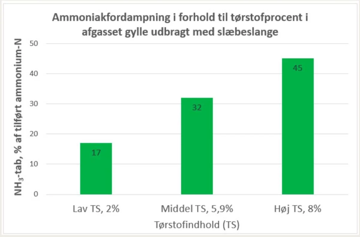 Tørstofindholdet i afgasset gylle har stor betydning for ammoniakfordampningen ved udbringning med slæbeslanger og dermed for gødningsværdien. Kilde: Sasha Hafner, Aarhus Universitet