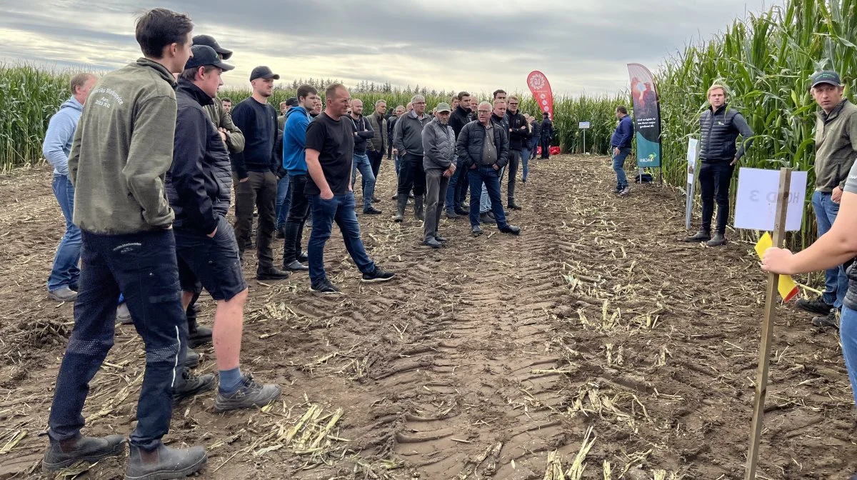 Den 17. og 18. september er der Grovfoderdag ved Agri Nord/LandboNord. Pressefoto