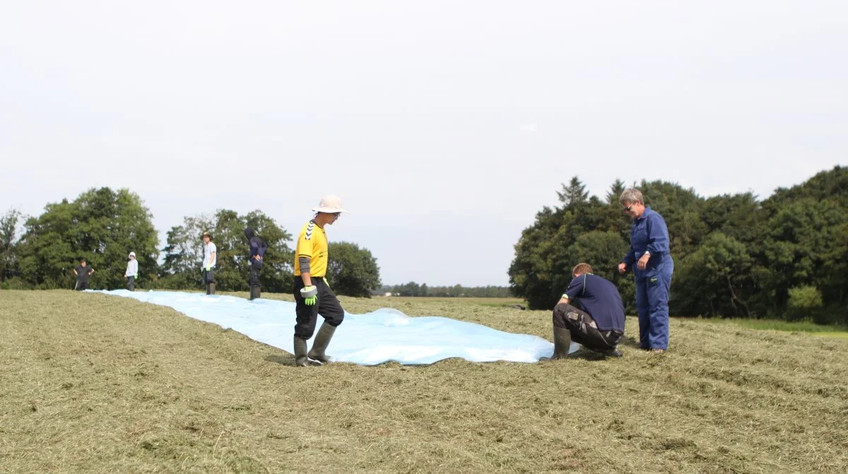 At der bliver lagt mange kræfter i at sikre, at der laves en god ensilage, er også med til at sikre, at ensilagen ikke giver problemer inde i stalden, påpeger  Rene Cornelissen og slår fast, at de derfor gerne bruger en halv time eller mere på at dække stak som her ved fjerde slæt græs.
