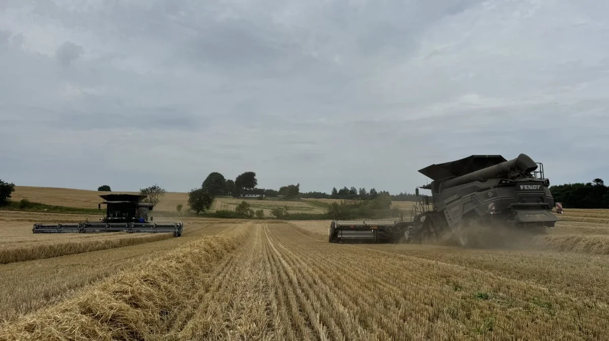 Trods en såperiode, der strakte sig fra 15. marts til 20. maj, har vårbyggen overrasket positivt med udbytter, der var væsentligt bedre end i 2023. Foto: Kasper Stougård 