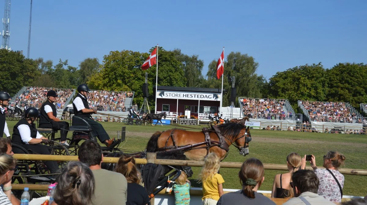 Store Hestedag i Roskilde blev som de foregående år en succes. Hele 31.071 gæster fandt vej til Dyrskuepladsen i løbet af weekenden. Foto: Camilla Bønløkke