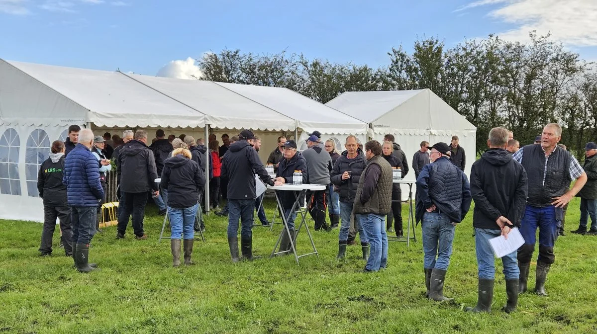 Stort fremmøde til 2024-udgaven af Den Sønderjyske Grovfoderdag, arrangeret i fællesskab af de sønderjyske planteavlsrådgivninger, frøfirmaer samt Syddansk Kvæg.