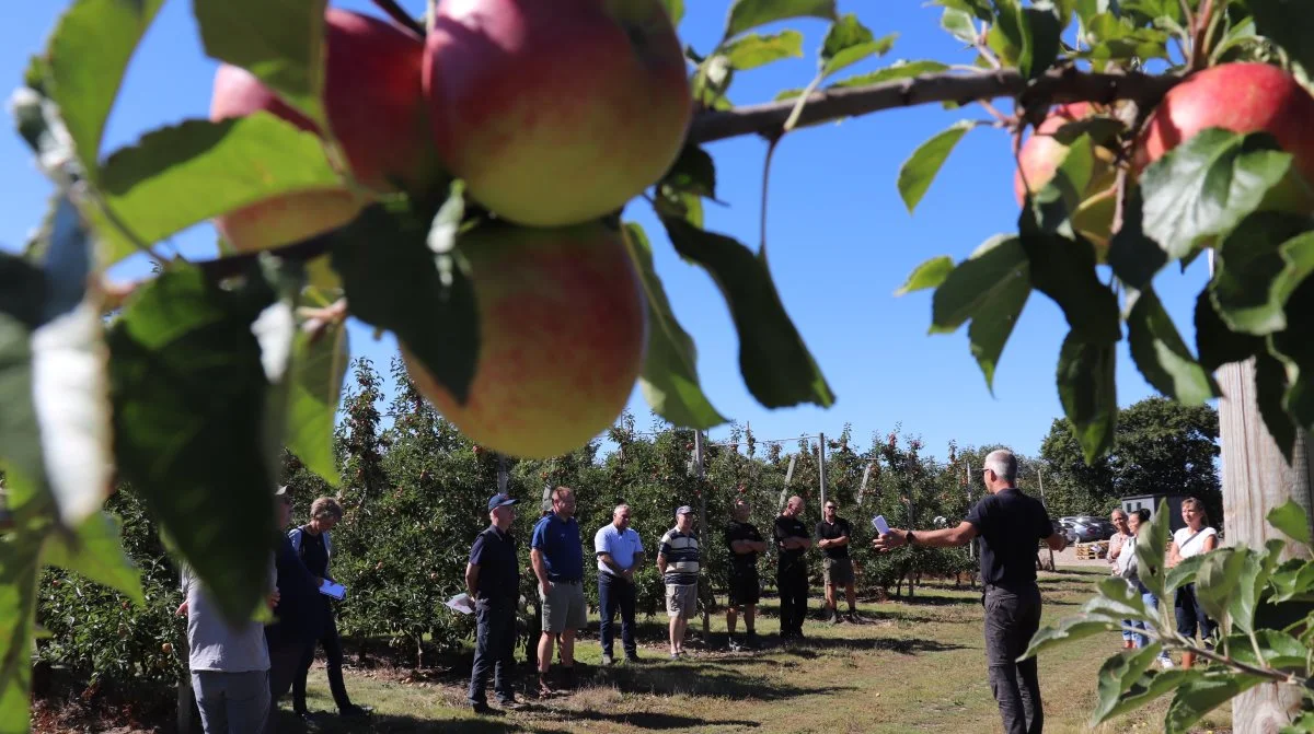 Her gennemgås de enkle tiltag for at undgå afdrift med prosulfocarb i en frugtplantage for en gruppe sprøjteførere. Arkivfoto: Jørgen P. Jensen