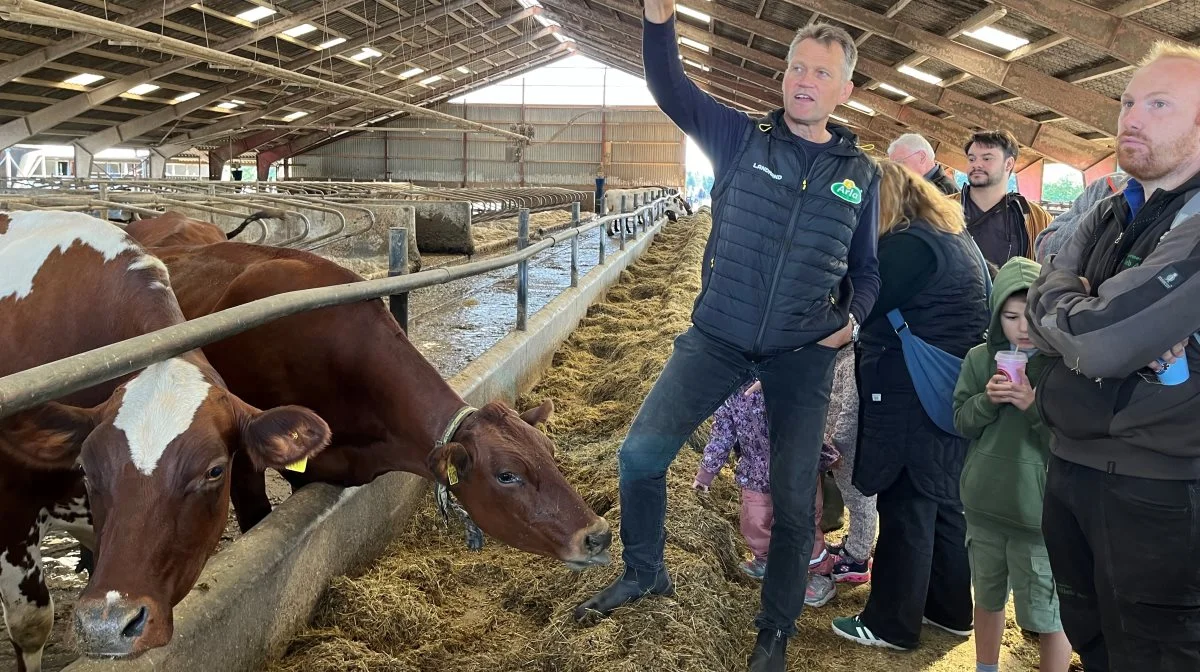 - Vi har 180 malkekøer samt 150 kalve og kvier, fortalte Kaare Larsen og oplyste, at køerne går ude på græsarealer i sommerhalvåret. Foto: Jesper Hallgren