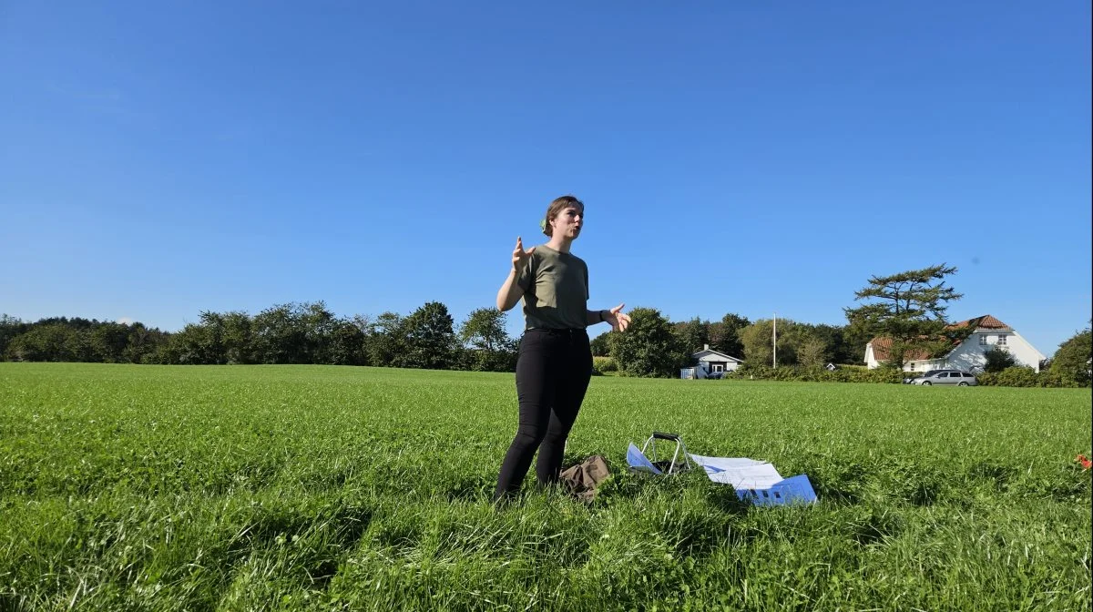  Hvis alle majsmarkerne heroppe ser ud som den her, så er der masser af grund til at overveje at sælge noget af sin majs. For der er nogle længere sydpå, der får brug for det, konstaterede kvægrådgiver Alexia Laustsen.