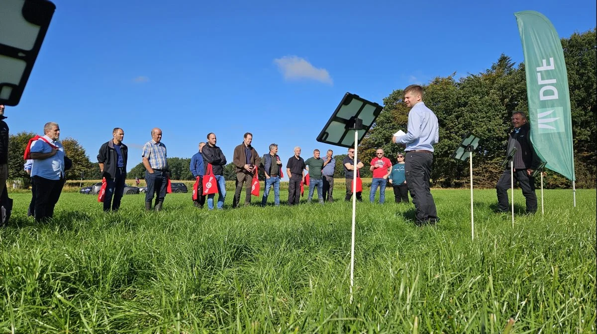 Det store udbytte i græsmarken kræver, at man kigger nærmere på kaliumbalancen, fastslog Jens Bay fra Agri Nord/LandboNord. Foto: Christian Carus