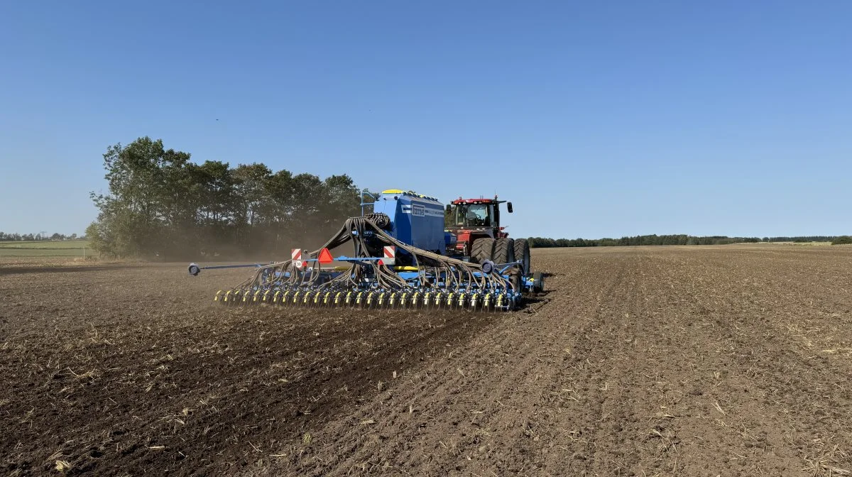 Marken er harvet i 15 centimeter med en tandharve og herefter i 10 centimeter med en tallerkenharve, før Falcon-såmaskinen løsner jorden ned i 23 centimeters dybde og etablerer vinterbyggen. 