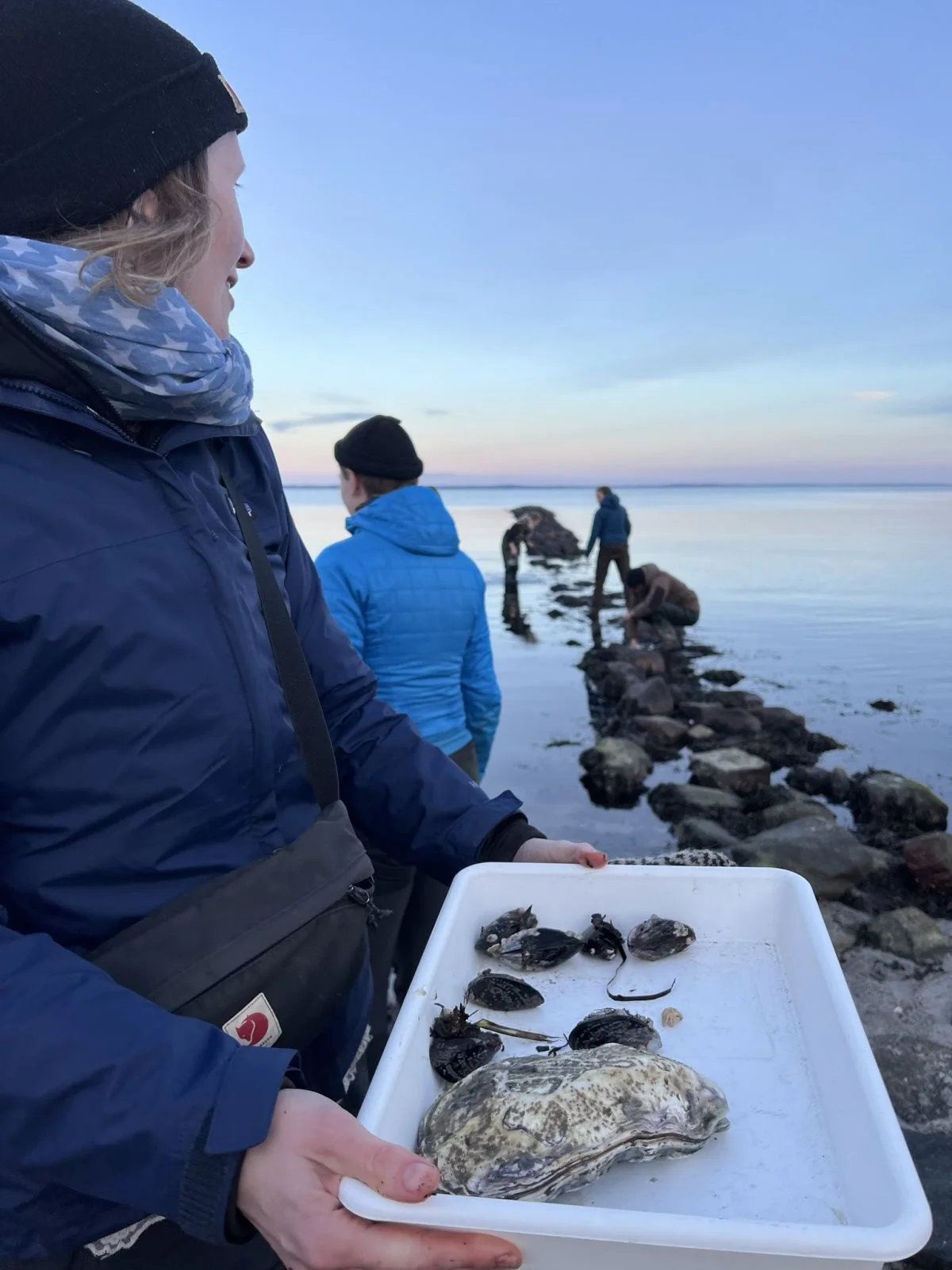 En del af undervisningen på Naturvejlederuddannelsen vil foregå på Skovskolen Djursland, men der bliver også mange ekspeditioner ud af huset.