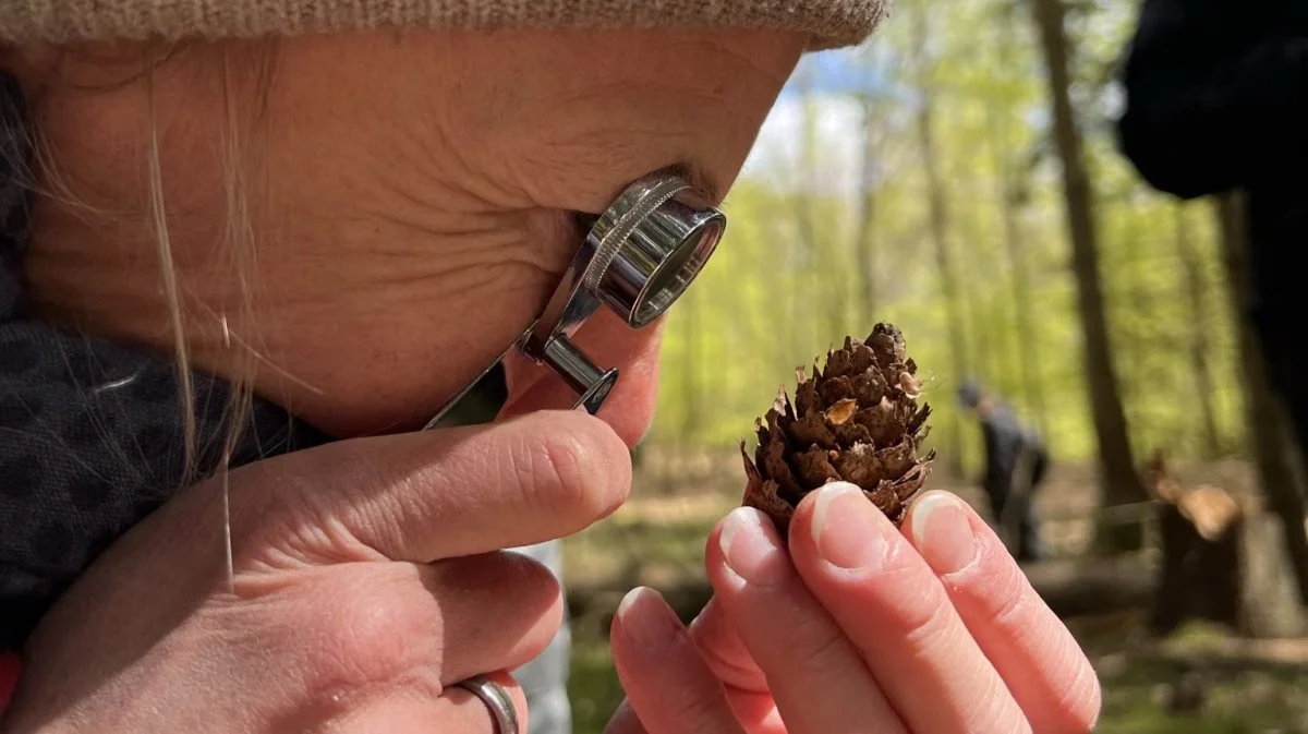 Skovskolens Naturvejlederuddannelse er en akkrediteret uddannelse på akademiniveau. Det vil sige, at den henvender sig til voksne med relevant erhvervserfaring og kan tages på fuld tid eller på deltid ved siden af jobbet. Fotos: Skovskolen, Københavns Universitet