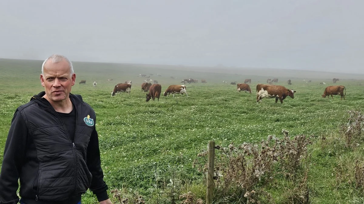 For den økologiske mælkeproducent Lars Jørgensen, Krogsagergaard ved Randers, var det helt naturligt at sige ja til at lade de 75 røde malkekøer indgå i MetGraz-projektet, hvor man forsøger at afdække, hvor meget afgræsning kan reducere metanudledningen fra køer på græs og dermed perspektiverne for afgræsning som klimatiltag. Fotos: Line Brusgaard