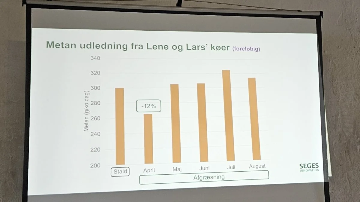 På Krogsagergaard blev der i april målt en reduktion i metanudledningen på 12 procent i forhold til de første målinger, der blev foretaget i marts, hvor køerne stadig var på stald.