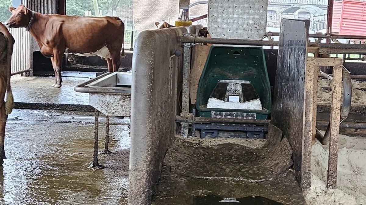 Udledningen af metan fra køerne måles ved hjælp af Green Feed C-locks, og det forventede resultat af det treårige projekt er, at køer på græs har en lavere metanudledning end køer fodret med ensilage i stalden.