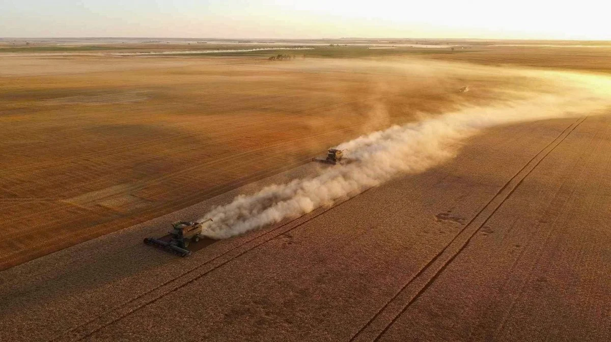 Den danskejede høstkaravane er nu nået til North Dakota nær den canadiske grænse efter at have høstet sig op gennem USAs hvedemarker siden starten i maj i Texas. Foto: BT Harvesting