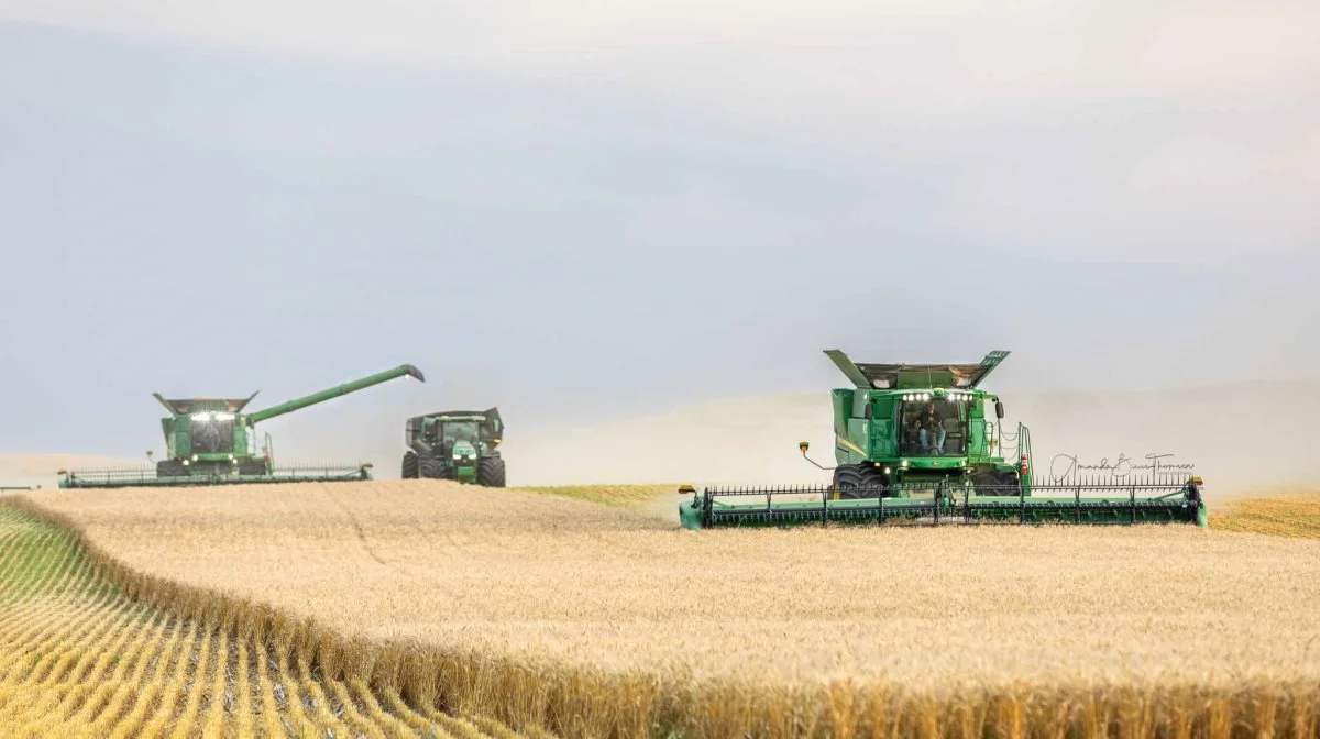 - Jeg har godt nok bestilt fem nye John Deere-mejetærskere til levering efter nytår. Men det kan meget vel være sidste chance for John Deere, selv om vi er blevet kompenseret for bøvlet, fortæller Anders Buus Thomsen. 
