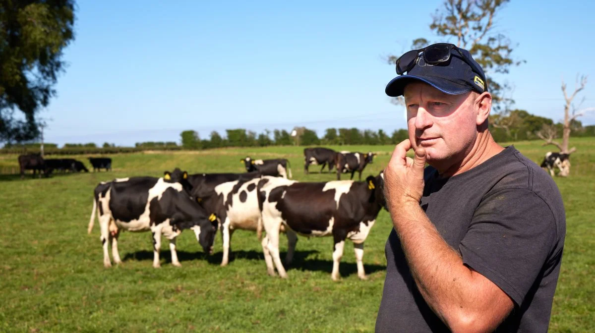Er græsset mon grønnere hos de New Zealandske mælkeproducenter? Spørg selv på studieturen til New Zealand i januar-februar 2025.