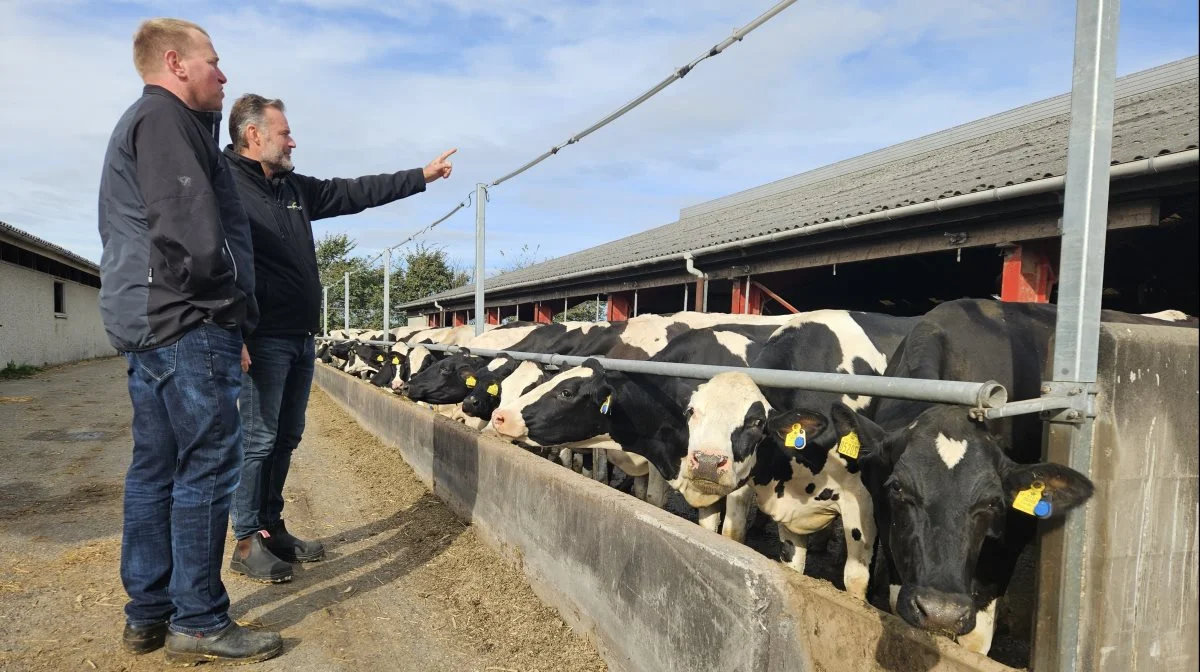 RN Solution oplever større fokus på, hvad god belysning kan betyde for køernes produktivitet, fortæller Jacob Michaelsen, der dog stadig ser plads til forbedring mange steder. 